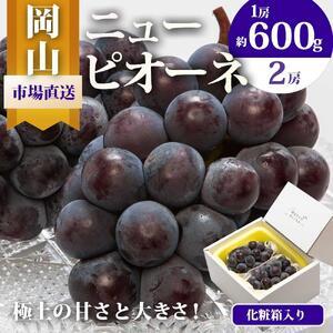 ふるさと納税 ニュー ピオーネ 2房（1房600g以上）化粧箱入り ｜ ピオーネ 岡山県岡山市