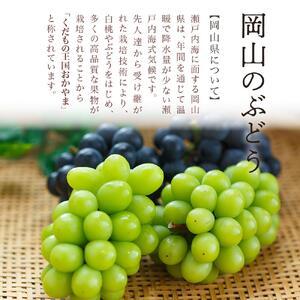 ふるさと納税 ニュー ピオーネ 2房(1房60...の詳細画像2