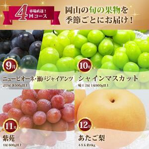 ふるさと納税 ぶどう 梨 定期便 2026年 ...の詳細画像1