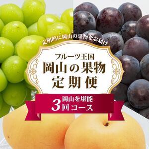 ふるさと納税 ぶどう 梨 定期便 2026年 フルーツ王国 岡山を堪能 定期便 3回コース 葡萄 ぶどう 梨 なし 岡山県産 国産 果物 セット ギフト 岡山県岡山市
