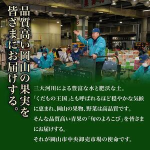 ふるさと納税 ぶどう 梨 定期便 2026年 ...の詳細画像2