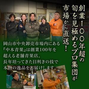 ふるさと納税 ぶどう 梨 定期便 2026年 ...の詳細画像3