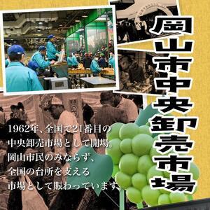 ふるさと納税 ぶどう 梨 定期便 2026年 ...の詳細画像4