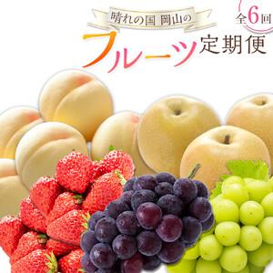 ふるさと納税 フルーツ 定期便 2026年 晴れの国 岡山の フルーツ 定期便 6回 桃 ぶどう 梨 いちご 岡山県産 国産 フルーツ 果物 ギフト 岡山県岡山市