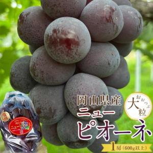 ふるさと納税 ぶどう 2026年 岡山県産 大粒 ニューピオーネ 1房（600g以上）農園直送 朝採れ 岡山県岡山市