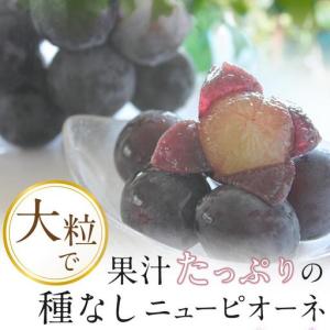 ふるさと納税 ぶどう 2026年 岡山県産 大...の詳細画像2