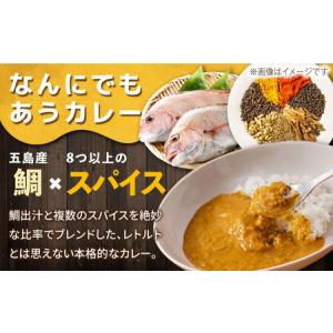 ふるさと納税 【12回定期便】ごとのカレー4種...の詳細画像1