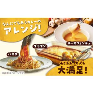 ふるさと納税 【12回定期便】ごとのカレー4種...の詳細画像2