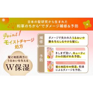 ふるさと納税 いち髪 濃密W保湿ケア シャンプ...の詳細画像1