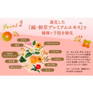 ふるさと納税 いち髪 濃密W保湿ケア シャンプ...の詳細画像2