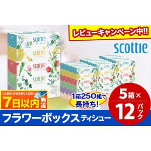 ふるさと納税 ティッシュペーパー スコッティ フラワーボックス250組 60箱(5箱×12パック) ティッシュ レビューキャンペーン中 日用品 7日以.. 秋田県秋田市