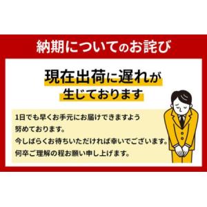 ふるさと納税 ティッシュペーパー スコッティ ...の詳細画像2