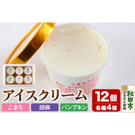 ふるさと納税 アイスクリーム詰め合わせ(120ml×12個入り) 秋田県秋田市