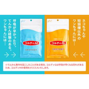 ふるさと納税 《定期便11ヶ月》犬 猫 ウサギ...の詳細画像1