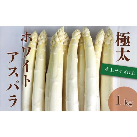 ふるさと納税 北海道栗山町産 極太ホワイトアスパラ（4Lサイズ以上）1kg オジファーム 北海道栗山...