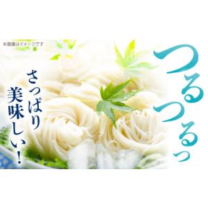 ふるさと納税 【紙箱入り】島原の光手延べそうめ...の詳細画像1
