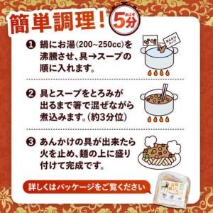 ふるさと納税 【12回定期便】冷凍 長崎皿うど...の詳細画像4