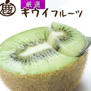 ふるさと納税 ＜2024年11月より発送＞厳選 キウイフルーツ5kg＋150g（傷み補償分）※北海道...