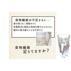 ふるさと納税 【食物繊維/難消化性デキストリン...の詳細画像4