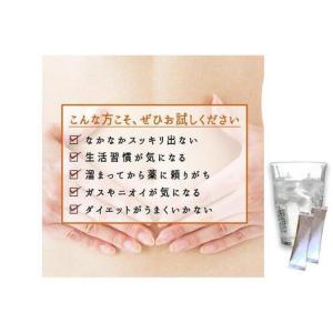 ふるさと納税 【食物繊維/難消化性デキストリン...の詳細画像1