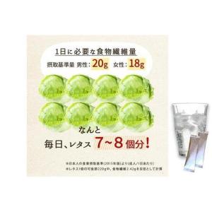 ふるさと納税 【食物繊維/難消化性デキストリン...の詳細画像3