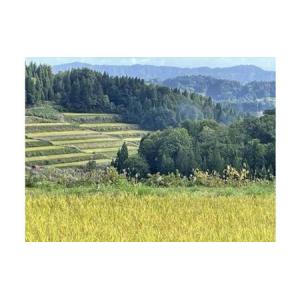 ふるさと納税 【令和8年産 先行予約】「12カ...の詳細画像1