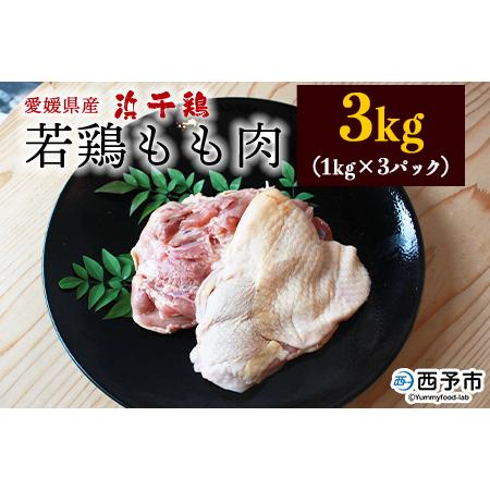 ふるさと納税 ＜銘柄鶏 浜千鶏 愛媛県産 若鶏もも肉 3kg（1kg×3）＞ 国産 鶏肉 とり チキ...