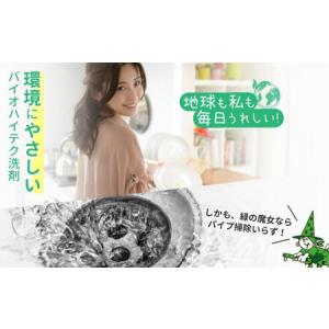 ふるさと納税 食洗器用洗剤 緑の魔女 オートキ...の詳細画像1