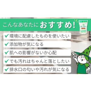 ふるさと納税 食洗器用洗剤 緑の魔女 オートキ...の詳細画像2