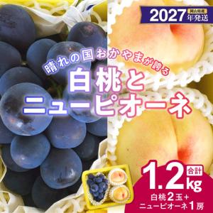 ふるさと納税 【2027年発送分・先行予約開始！】岡山県産 白桃とニューピオーネのセット（令和9年7月以降発送）【ニューピオーネ 桃】 岡山県備前市