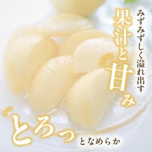 ふるさと納税 【2027年発送分・先行予約開始...の詳細画像1