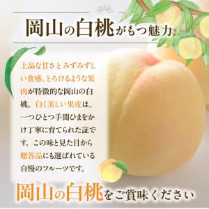 ふるさと納税 【2027年発送分・先行予約開始...の詳細画像2