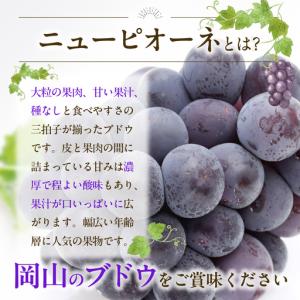 ふるさと納税 【2027年発送分・先行予約開始...の詳細画像3