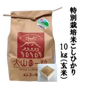 ふるさと納税 MS-16　特別栽培米こしひかり10kg（玄米）令和5年産新米 鳥取県大山町｜furunavi