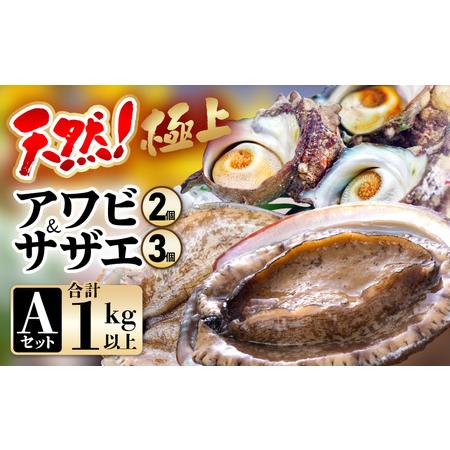 ふるさと納税 【期間限定】天然！極上 アワビ ＆ サザエ セットA【2024年6月20日から2024...