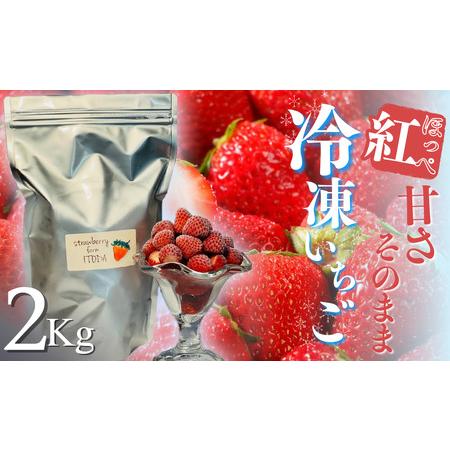 ふるさと納税 地元JA品評会金賞受賞　冷凍イチゴ2Kg　【 いちご 果物 フルーツ 苺 イチゴ 冷凍...