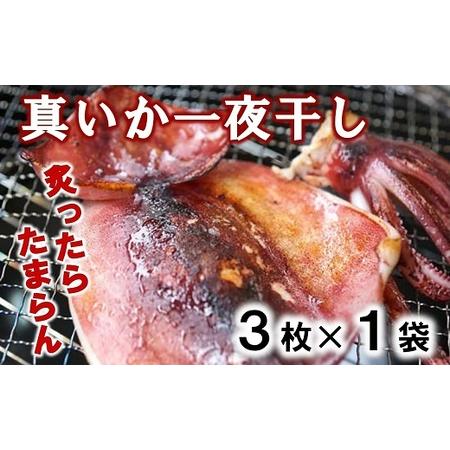 ふるさと納税 北三陸産 真イカの一夜干し 3枚入×1袋 いか一夜干し いか イカ焼き イカ飯 BBQ...