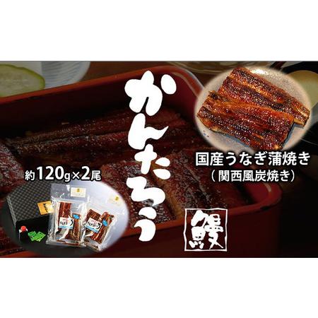 ふるさと納税 国産うなぎ蒲焼き（ 関西風炭焼き）約120g×2尾【配送不可：離島】 静岡県浜松市