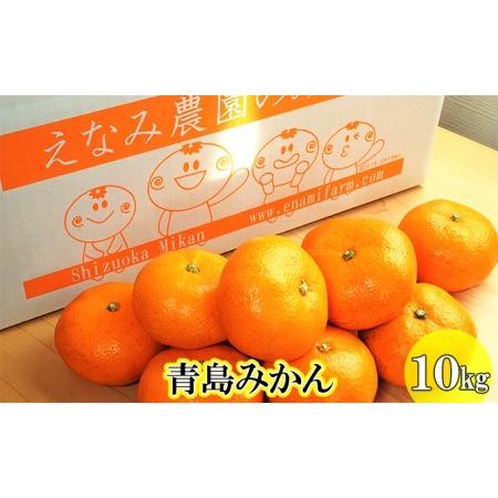 ふるさと納税 【2024年12月下旬以降順次発送】えなみ農園の青島みかん　10kg（L〜2Lサイズ）...