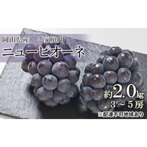 ふるさと納税 桃 2026年 先行予約 ご家庭用 ニュー ピオーネ 約2.0kg （3〜5房） ブドウ 葡萄 岡山県産 国産 フルーツ 果物 岡山県玉野市
