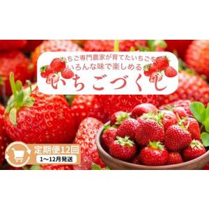 ふるさと納税 定期便 12回【1〜12月発送】いちごづくし定期配送 苺 いちご 冷凍いちご いちごアイス シャーベット ジャム 新潟県上越市