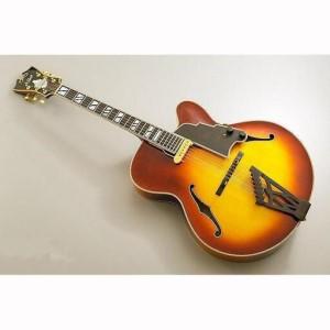 ふるさと納税 【ギター】S.Tsuji　DA-17　Model《南砺の逸品》 富山県南砺市