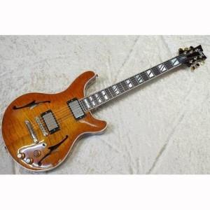 ふるさと納税 【ギター】S.Tsuji　TS-13　Model《南砺の逸品》 富山県南砺市