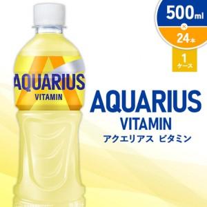 ふるさと納税 アクエリアス ビタミン PET 500ml×24本 1ケース【コカコーラ】 水分補給 スポーツ飲料 清涼飲料水 常温 AQUARIUS 熱中症対.. 宮崎県えびの市