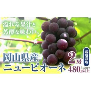 ふるさと納税 ニューピオーネ 2房【配送不可地域あり】 岡山県矢掛町