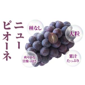 ふるさと納税 ニューピオーネ 2房【配送不可地...の詳細画像2