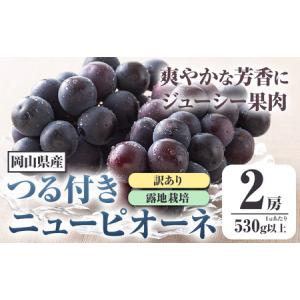 ふるさと納税 訳ありつる付きニューピオーネ 2房【配送不可地域あり】 岡山県矢掛町