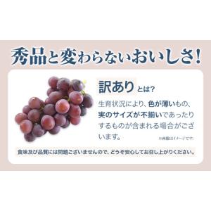 ふるさと納税 訳ありつる付きニューピオーネ 2...の詳細画像2