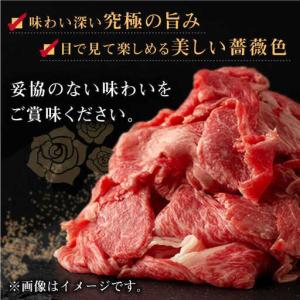 ふるさと納税 【全12回定期便】長崎和牛 出島...の詳細画像3