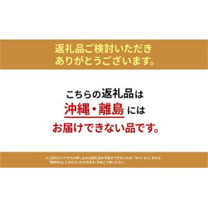ふるさと納税 イス ハグラウンジチェア レザー...の詳細画像1
